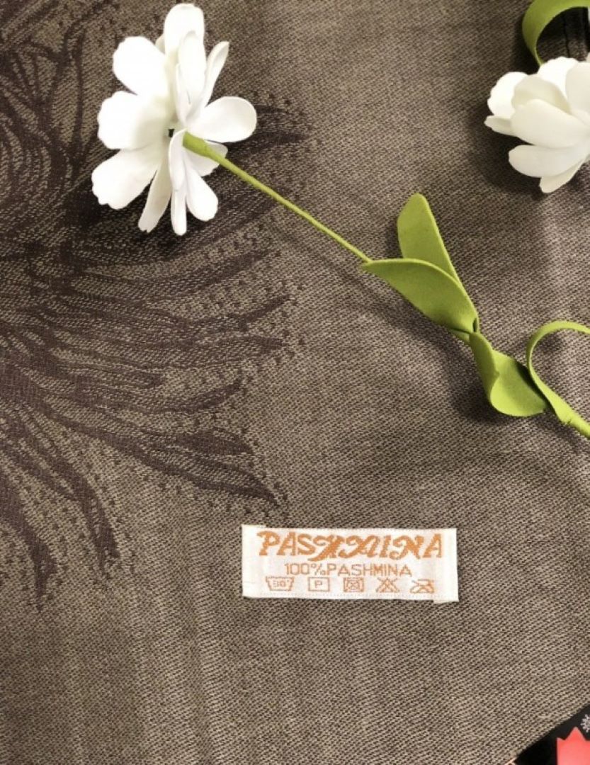 Pashmina Winter Collection