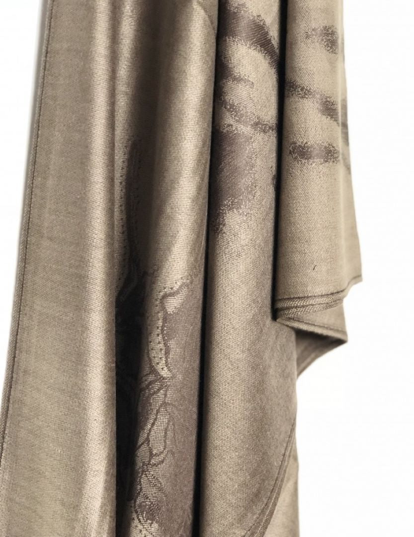 Pashmina Winter Collection